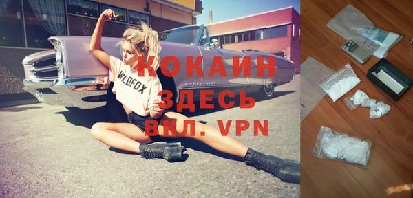 тгк Новозыбков